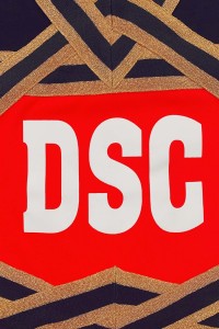 Design Fashion Ladies Cheerleading Costumes Custom Foil Stamping Fashion V Neck Cheerleading Competition Costumes Cheerleading Supplier CH215 side view